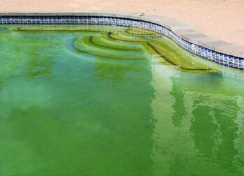 L’eau de votre piscine est verte ? 4 conseils ! 