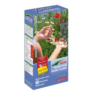 DCM-Fiotinté-mélange-semences-pour-semer-prairies-fleuries-avec-60-variétés-de-fleurs-525g