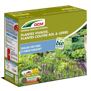 DCM-Engrais-Plantes-vivaces-Lierre-&-Plantes-Couvre-Sol-3-kg