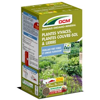 DCM-Engrais-Plantes-vivaces-Lierre-&-Plantes-Couvre-Sol-1,5-kg