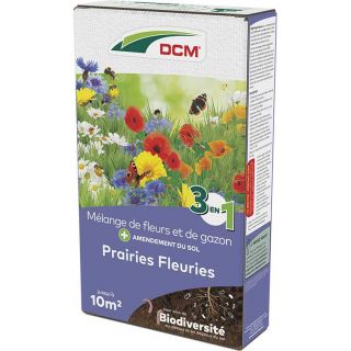 dcm-prairies- fleuries-510-g-fleurs-et-graminées