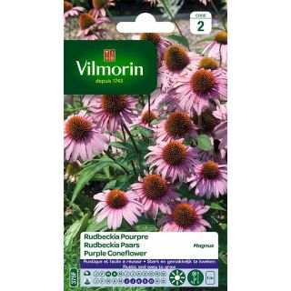 vilmorin-rudbeckia-pourpre-magnus-entretien-du-jardin-semences-de-fleurs