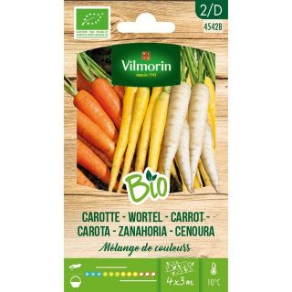 Vilmorin-carotte-mélange-de-couleurs-entretien-du-jardin-graines