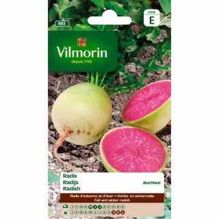 vilmorin-radis-red-meat-entretien-du-jardin