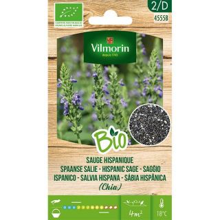 Vilmorin-sauge-hispanique-chia-bio-10g-entretien-du-jardin-graines