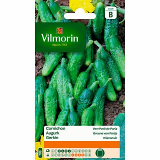 vilmorin-cornichon-vert-petit-de-paris-entretien-du-jardin-graines