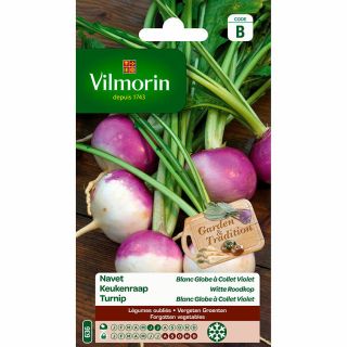 vilmorin-navet-blanc-globe-à-collet-violet-entretien-du-jardin-graines