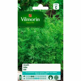 vilmorin-aneth-entretien-du-jardin-graines