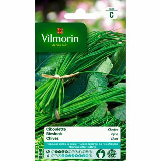 vilmorin-ciboulette-fine-entretien-du-jardin-graines