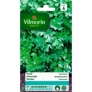 vilmorin-feuilles-de-persil-entretien-du-jardin-graines