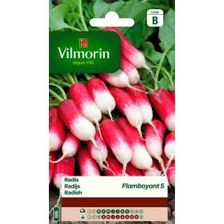 vilmorin-radis-flamboyant-5-entretien-du-jardin-graines