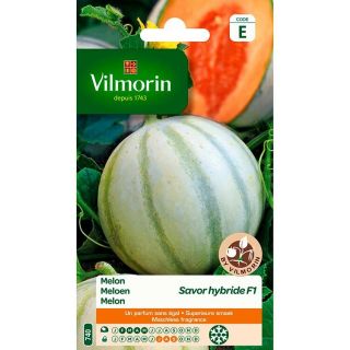 Vilmorin-Melon-Savor-hybride-F1-entretien-du-jardin-graines