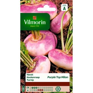 vilmorin-navet-purple-top-milan-entretien-du-jardin-graines