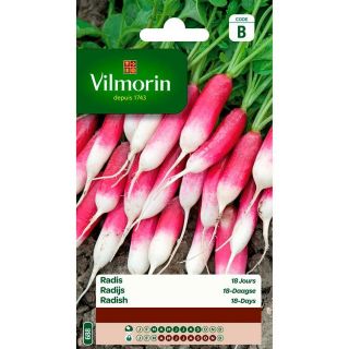 vilmorin-radis-18-jours-entretien-du-jardin-graines
