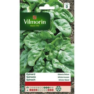 vilmorin-epinard-géants-d'hiver-entretien-du-jardin-graines-légumes