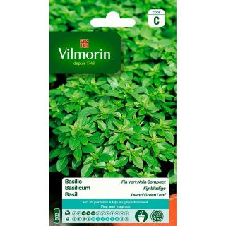 vilmorin-basilic-fin-vert-nain-compact-entretien-du-jardin-graines-légumes