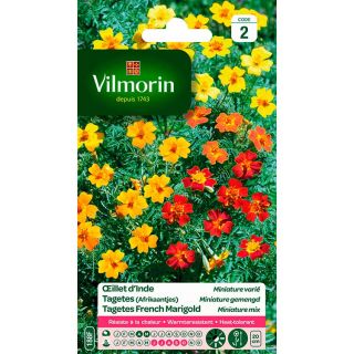 Vilmorin-œillets-d-inde-miniature-varié-graines-de-fleurs