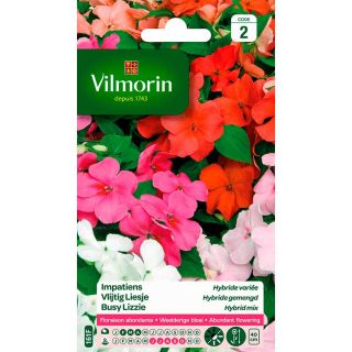 vilmorin-impatiens-hybride-variée-entretien-du-jardin-semences-de-fleur