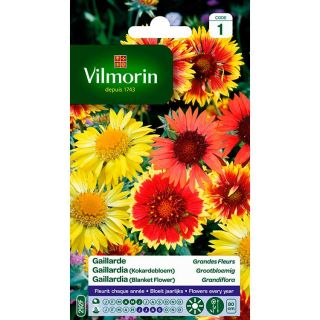 graines-de-fleurs-Vilmorin-Gaillarde-Grandes-Fleurs