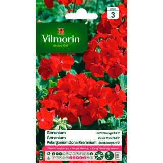 vilmorin-géranium-eclat-rouge-hf2-entretien-du-jardin-graines
