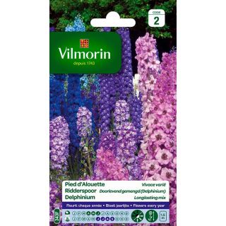 vilmorin-pied-alouette-vivace-varié-entretien-du-jardin-semences-de-fleurs
