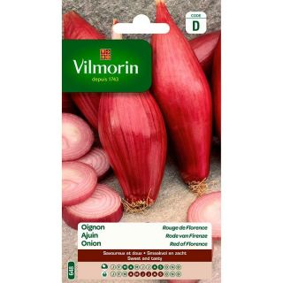 vilmorin-oignon-rouge-de-florence-entretien-du-jardin-graines