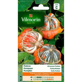 vilmorin-potiron-giraumon-turban-entretien-du-jardin-graines