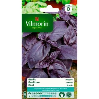 vilmorin-basilic-pourpre-entretien-du-jardin-graines-légumes