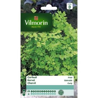 vilmorin-cerfeuil-frisé-entretien-du-jardin-graines-légumes