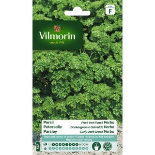vilmorin-jardin-entretien-graines-légumes-persil-vert-foncé-frisé