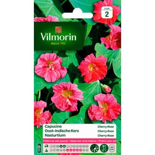 Vilmorin-capucine-cherry-rose-graines-de-fleurs