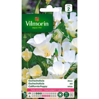 Vilmorin-eschscholtzia-blanc-graines-de-fleurs