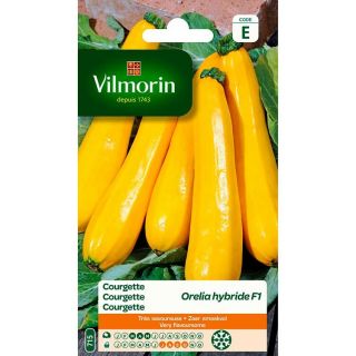 Vilmorin-Courgette-Orelia-hybride-F1-entretien-du-jardin-graines