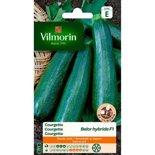 Vilmorin-courgette-Belor-Hybride-F1-entretien-du-jardin-graines