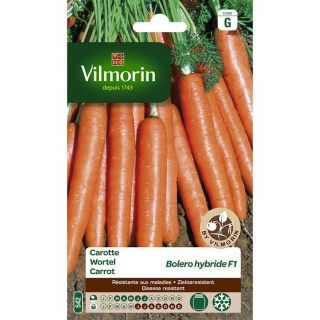 vilmorin-carrote-entretien-du-jardin-graines-légumes