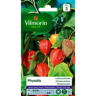 vilmorin-physalis-lanterne-chinoise-entretien-du-jardin-semences-de-fleurs