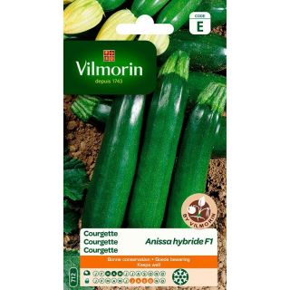 Vilmorin-courgette-Anissa-Hybride-F1-entretien-du-jardin-graines