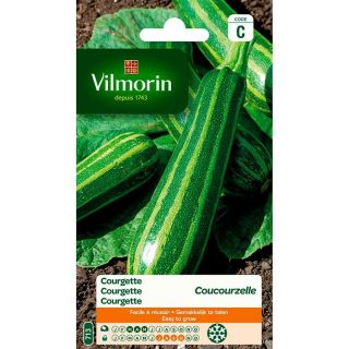 vilmorin-courgette-coucourzelle-entretien-du-jardin-graines