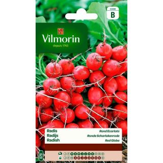 vilmorin-radis-rond-ecarlate-entretien-du-jardin-graines