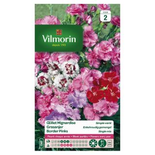 Vilmorin-Graines-de-fleurs-Œillet-Mignardise-Simple-Varié
