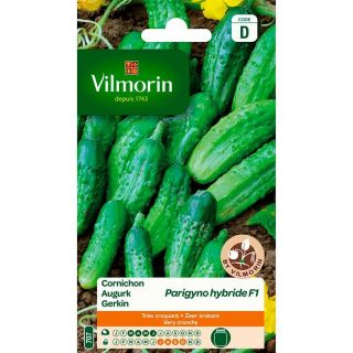 vilmorin-cornichon-parigyno-hybride-F1-entretien-du-jardin