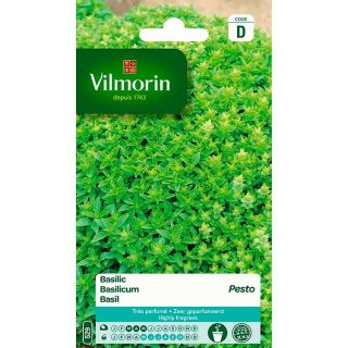vilmorin-basilic-pesto-entretien-du-jardin-graines