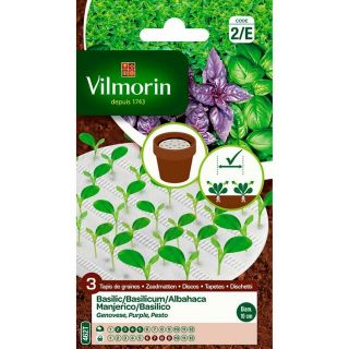 vilmorin-tapis-de-semences-trio-de-basilic-entretien-du-jardin-semences-légumes