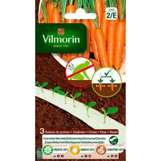vilmorin-carotte-ruban-de-graines-entretien-du-jardin-semences-légumes