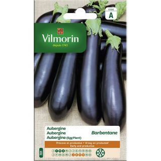 vilmorin-aubergine-barbentane-entretien-du-jardin-graines