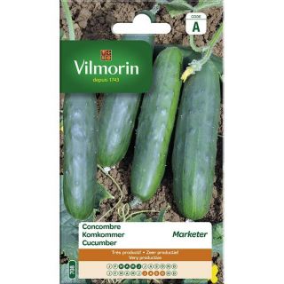vilmorin-concombre-marketer-entretien-du-jardin-graines