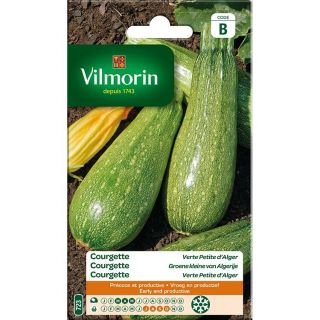 Vilmorin-Courgette-verte-petite-alger-graines-entretien-du-jardin