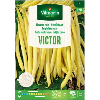 Vilmorin-Struikboon-Victor