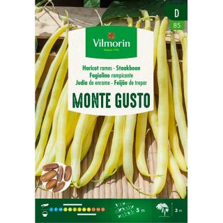 Vilmorin-Staakboterboon-Monte-Gusto