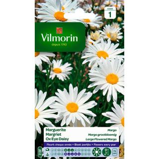 vilmorin-marguerite-margo-entretien-du-jardin-semences-de-fleurs